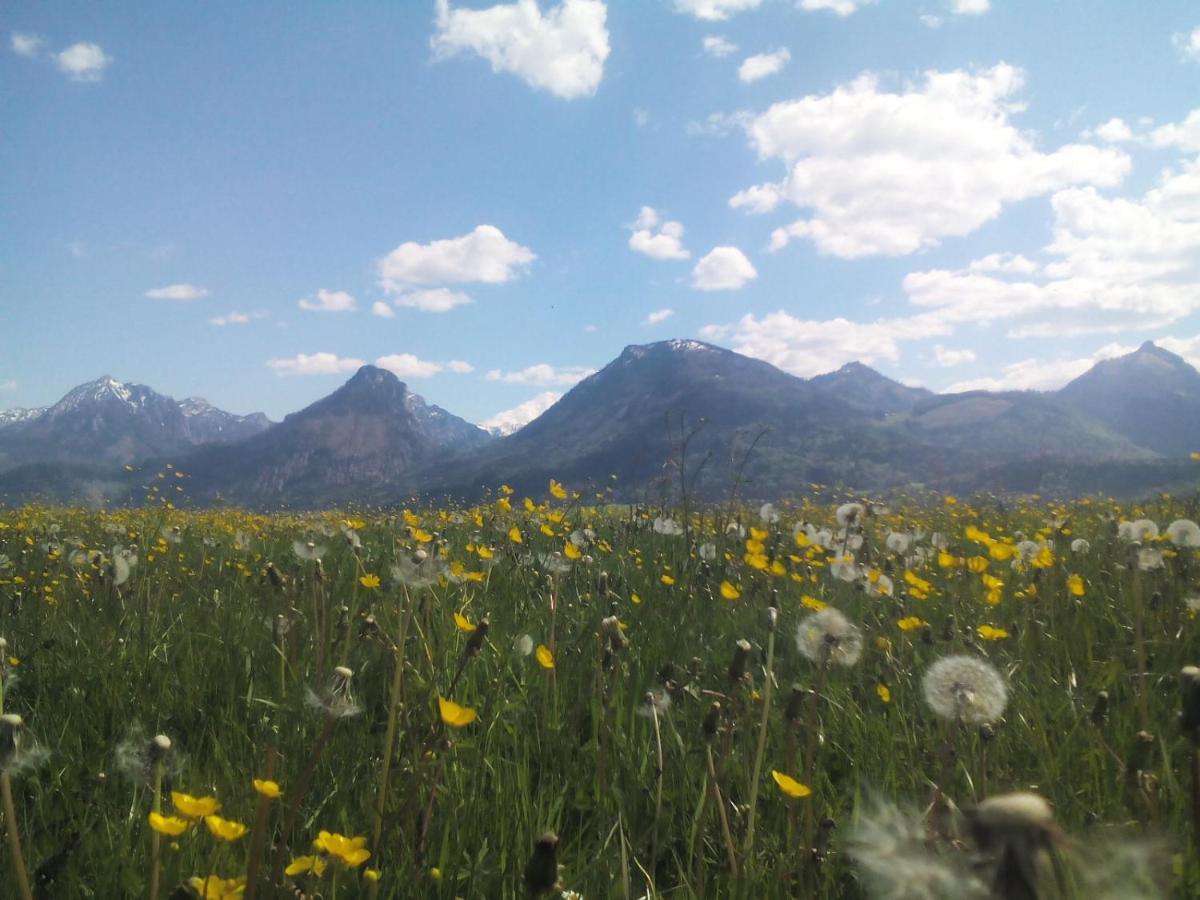 S-hansn * Sankt Wolfgang im Salzkammergut